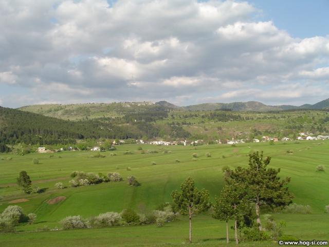 19313438.jpg