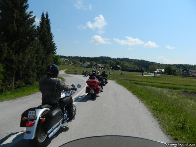 DSCN7919.jpg