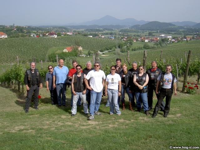 VSI 010.jpg