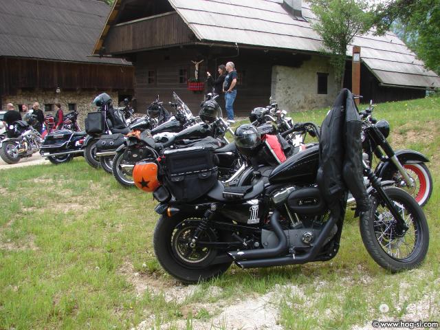 DSC02203.jpg