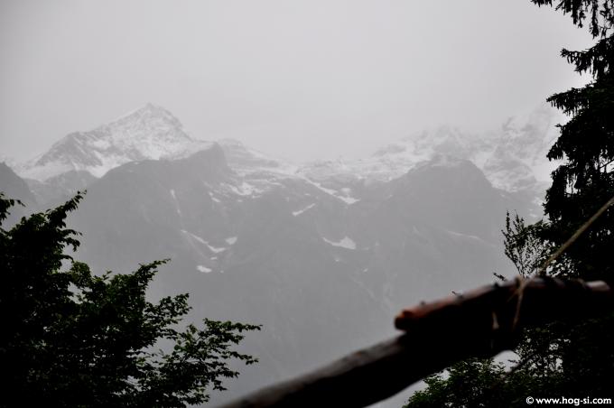2009DPiknik0408.jpg