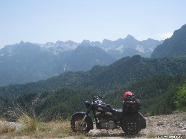 IMG_778.jpg