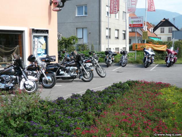 P1000340.jpg