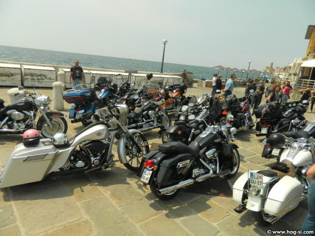 DSCN0829.jpg