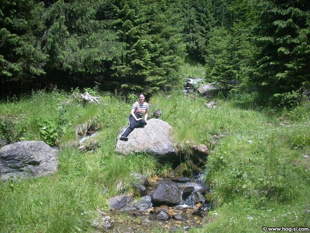 DSCN4944.jpg
