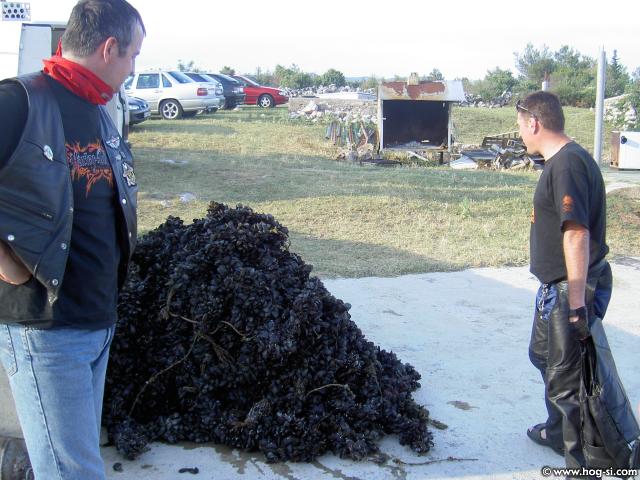 PICT0045.jpg