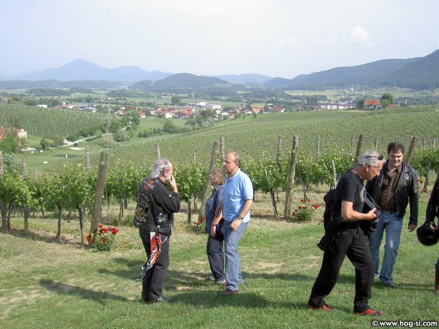 VINOGRADI 011.jpg
