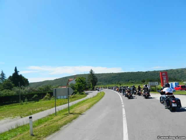 DSCN8766.jpg