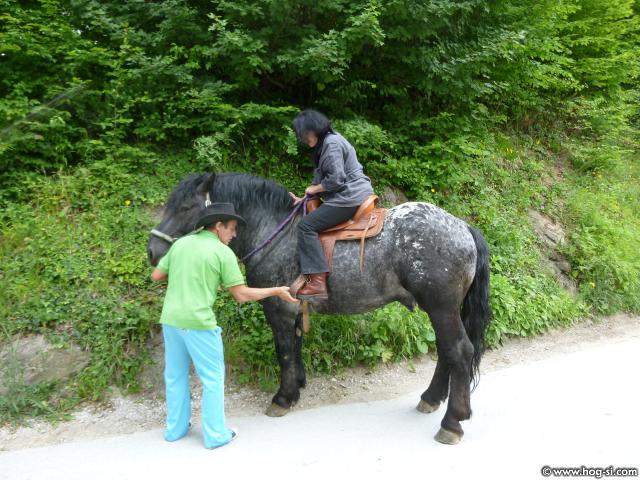 P1110358.jpg