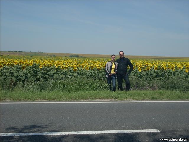 DSCN4829.jpg