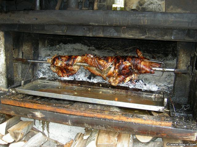 KRALJ ŽIVALI 011.jpg