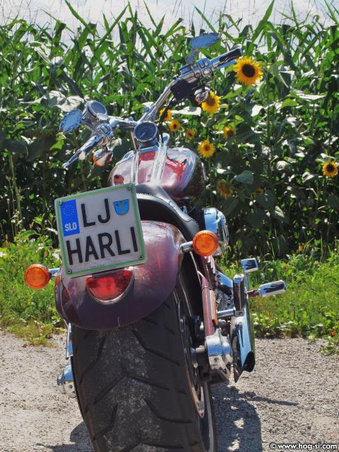 P8099751.jpg