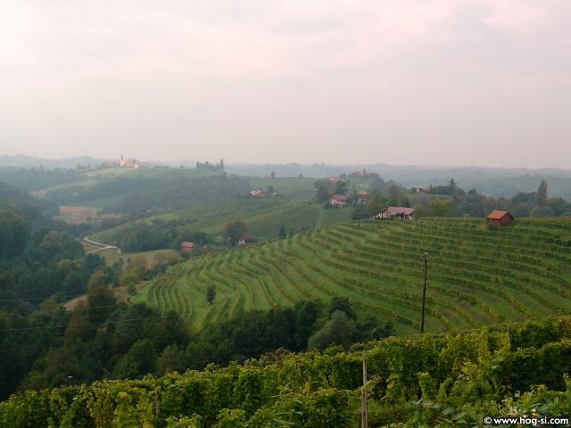DSC08678.jpg