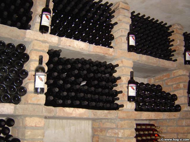 DSC06903.jpg