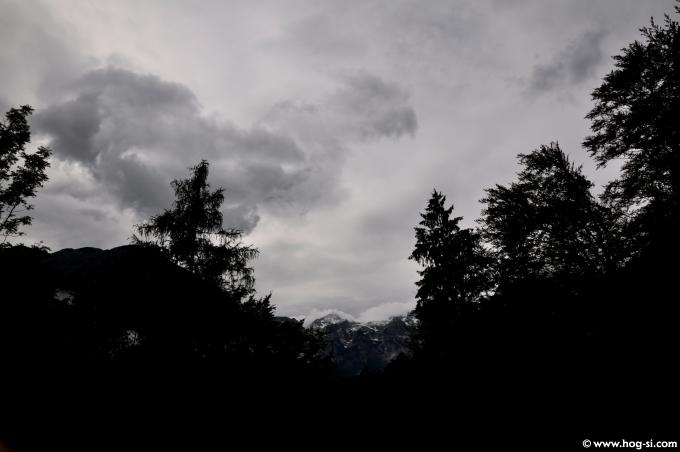 2009DPiknik0452.jpg