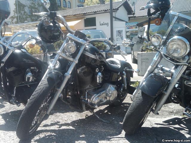 IMG01767-20100605-1249.jpg