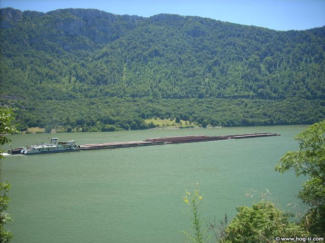 DSCN5009.jpg