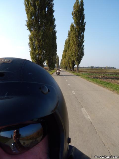 2008 PrekM 39.jpg