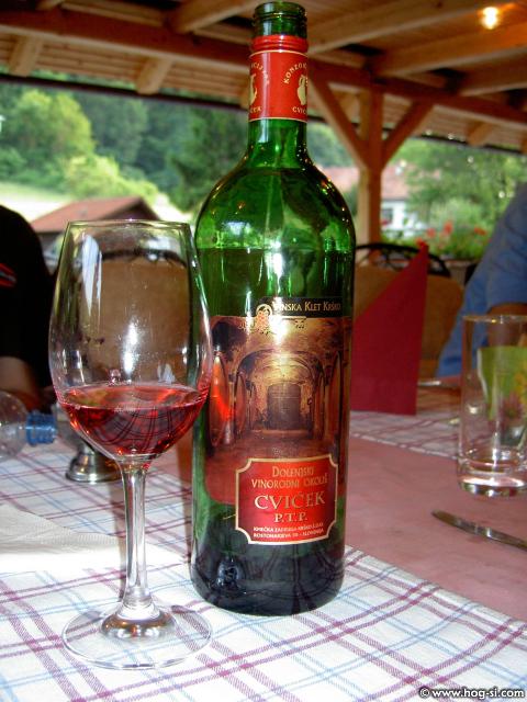 DOLENJSKI KRALJ 038.jpg