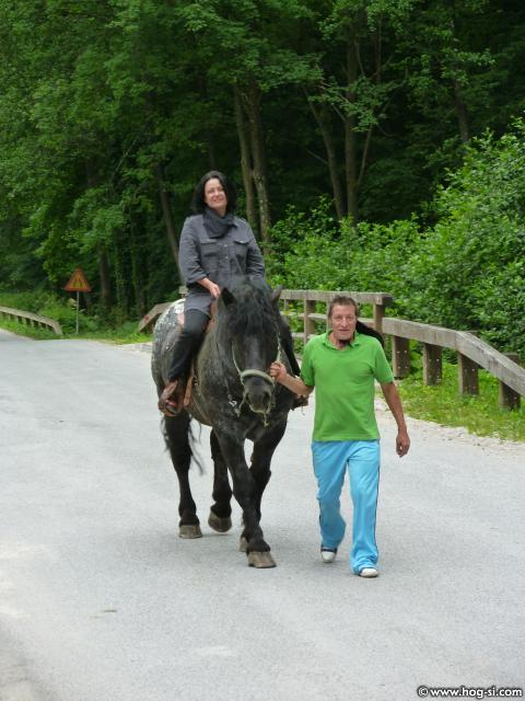 P1110361.jpg