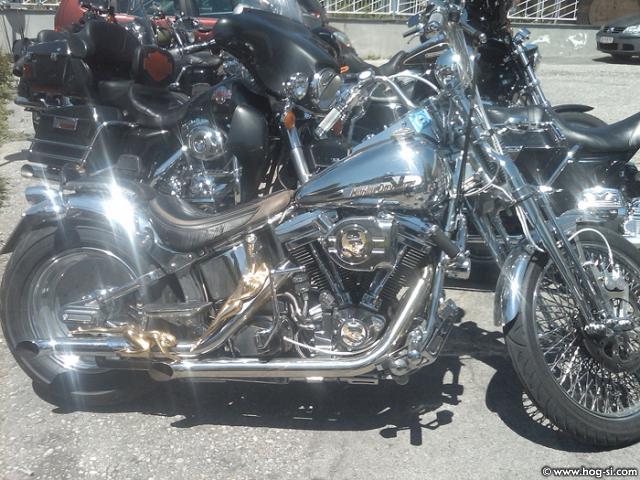 IMG01769-20100605-1250.jpg