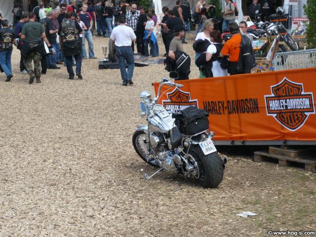 P1000461.jpg