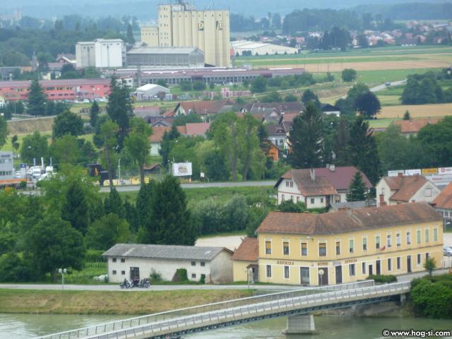 P1110342.jpg