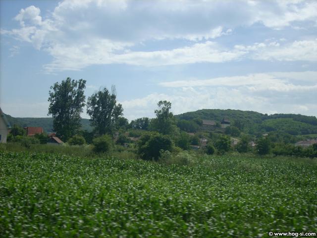 DSCN4851.jpg