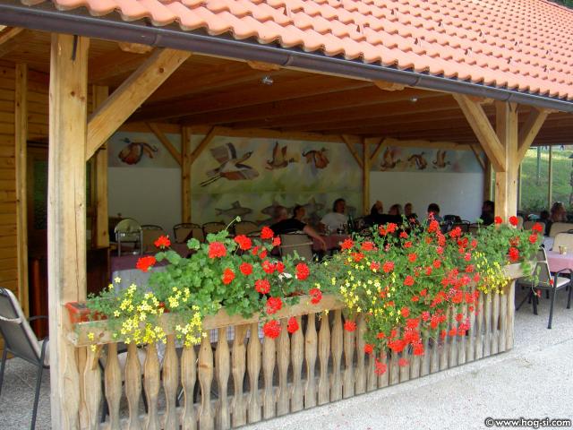 ROŽICE 025.jpg