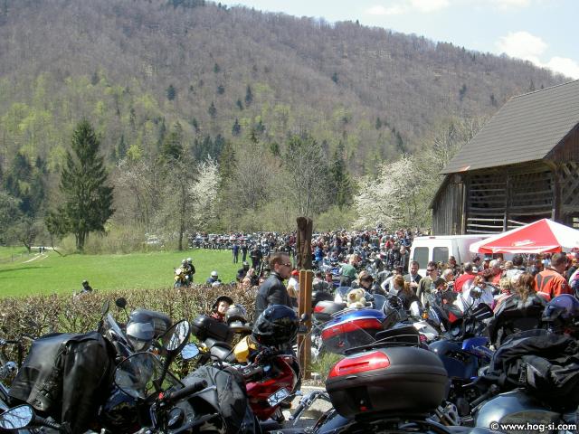 MNOŽICA 1.jpg