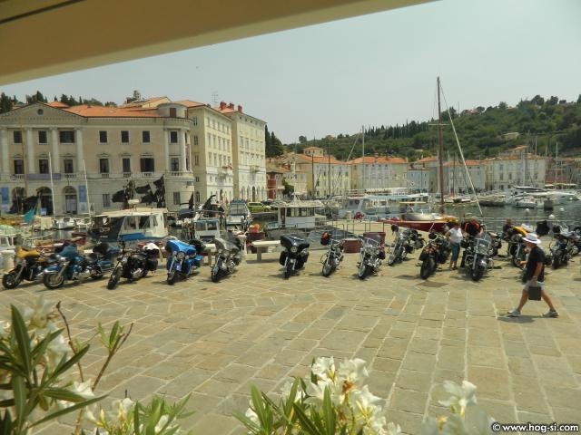 DSCN0798.jpg