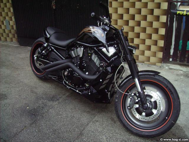 Night hawk