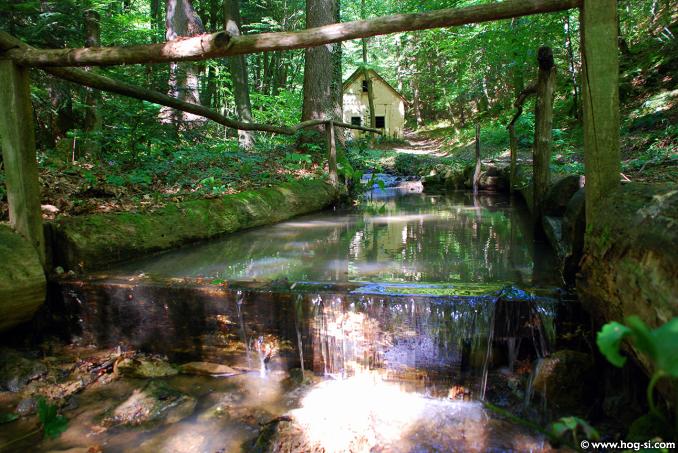 Lonely Mill