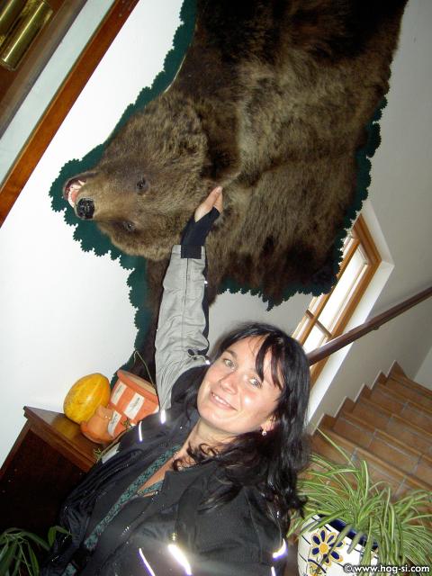 PICT0037.jpg