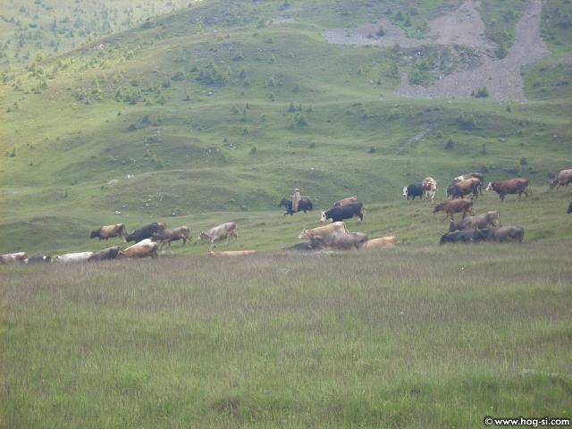 DSCN4996.jpg