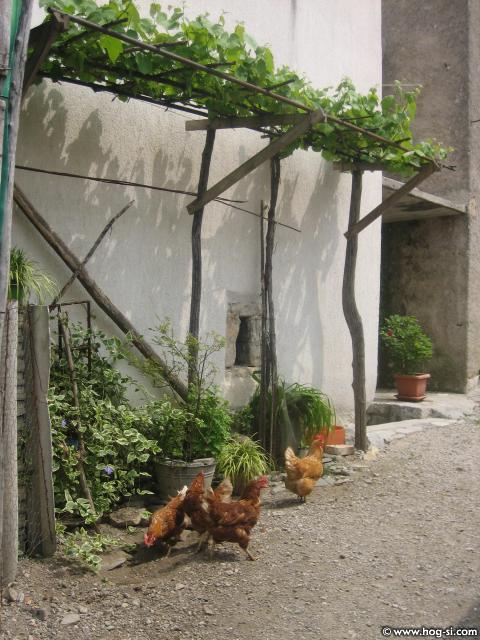 izleti prekmurje08,kras09,prekmurje09 308.jpg