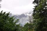 2009DPiknik0422.jpg