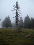 DSCN3778.jpg
