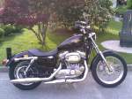 Sportster 883 low