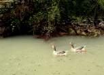 DSC09817.jpg