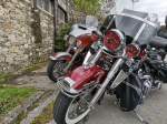 IMG_20220423_134207.jpg