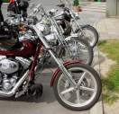 2012 NotGor 509.jpg