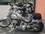 2007 HOG 0006.jpg