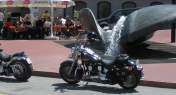 DSCN3077.jpg