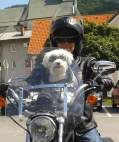 20130815_145758.jpg