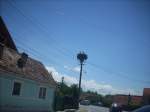DSCN4976.jpg