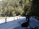 IMG01659-20100605-1118.jpg