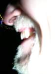 DSCN0212.jpg