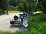 DSCN6274.jpg