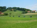 DSCN6182.jpg